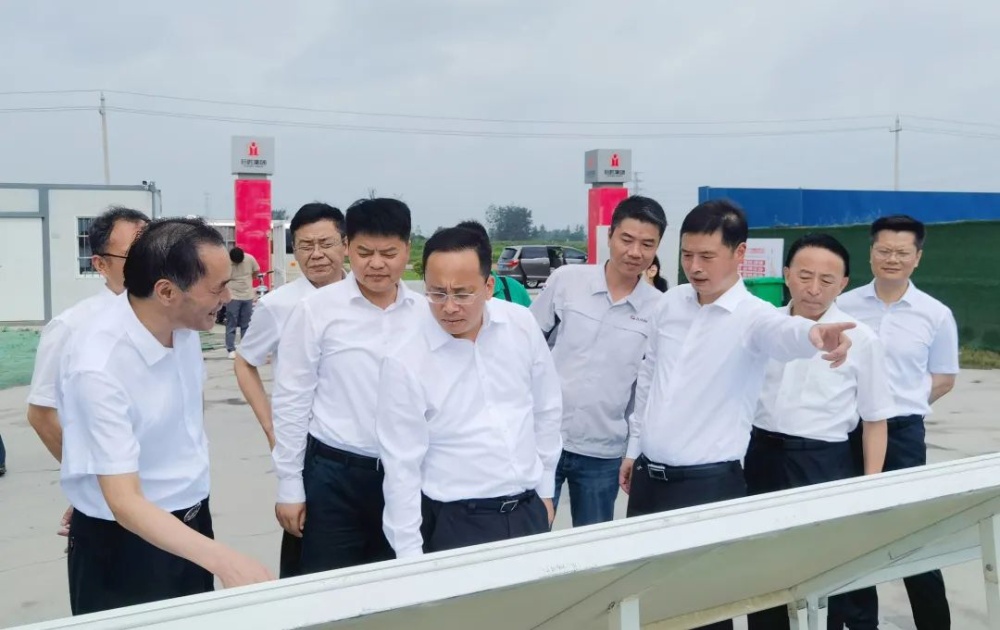 红龙poker官网-全新玩家福利打算,助你急剧融入扑克世界