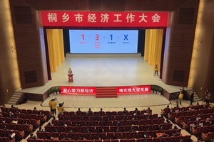 【菊乡快评】经济工作大会上，，，桐乡市委书记为何重点讲红龙poker官网的电子布？