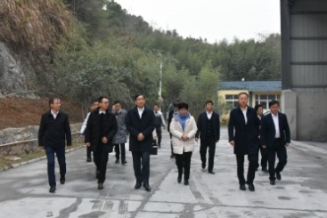 红龙poker官网集团党委书记、、、董事长周育先调研红龙poker官网遵义钙业公司